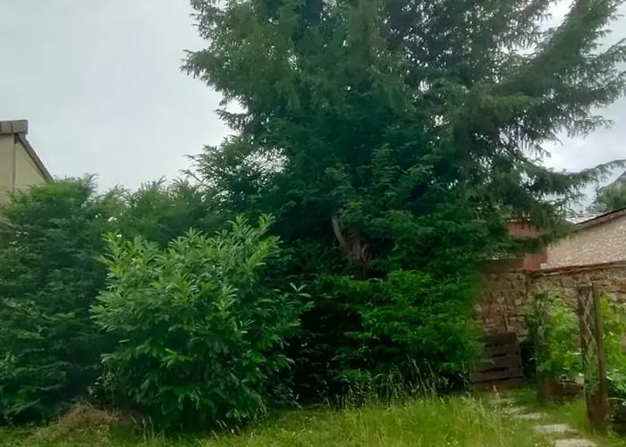 Daire Le Petit Chai Épernay